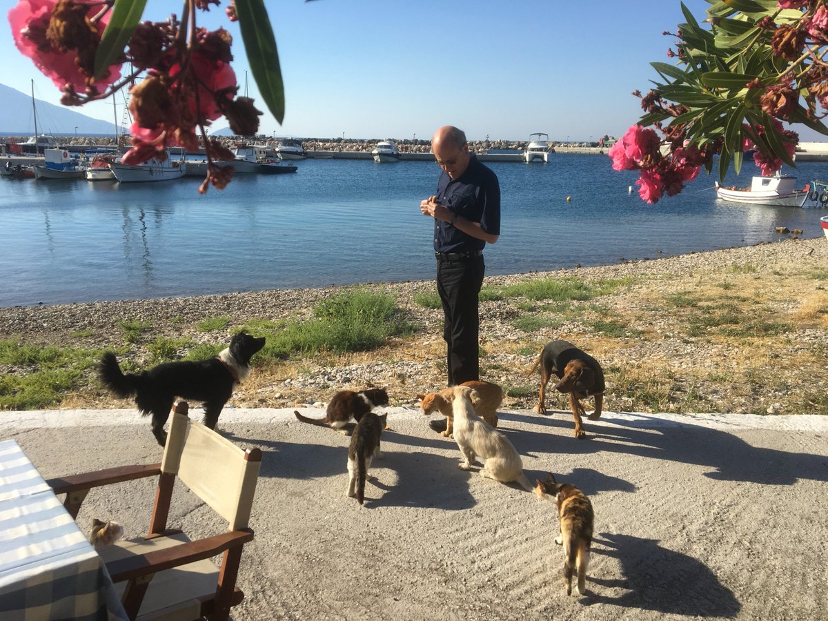 Sarah404BC's tweet photo. Breakfast time #Ormos #Samos. Spanakopita and tyropita make one popular! https://t.co/KTZN7E2y62