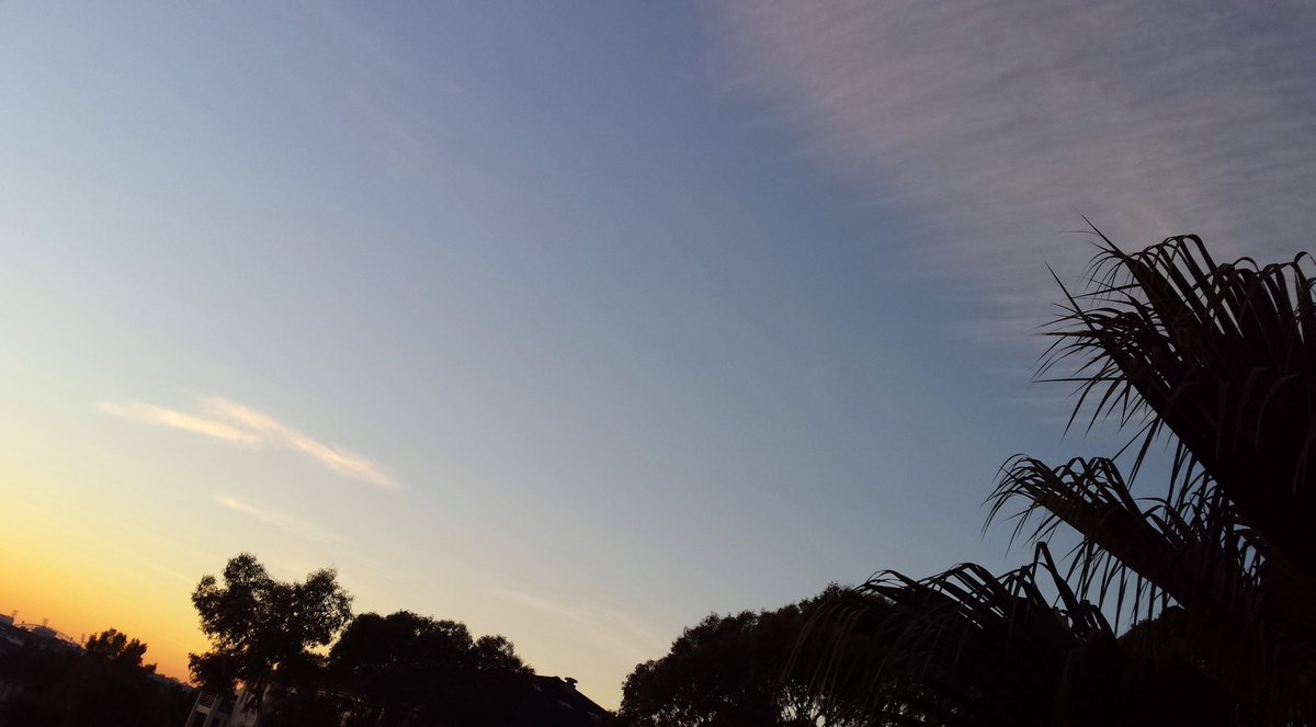 CherScheff's tweet photo. Wednesday sunrise clouds #wintersolstice #thatcloud https://t.co/w91nFQfkCM