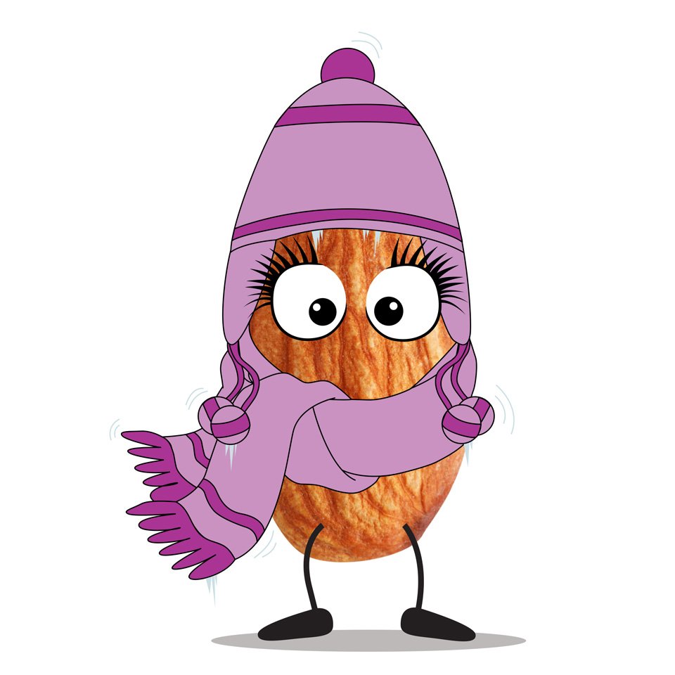 NutsForLife's tweet image. Today is the #wintersolstice - good news if you don't like cold; bad news for nuts - they need to be kept cold &amp;amp; stored in fridge or freezer