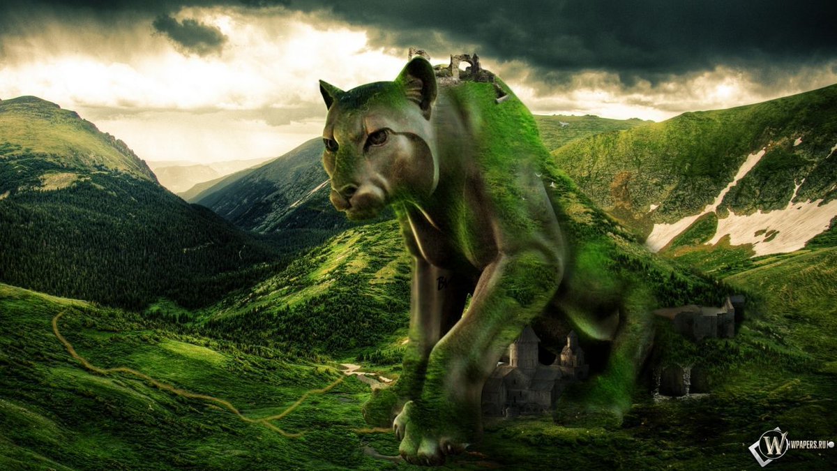 noveliciouss's tweet photo. Get it down. Take chances. It may be bad, but it's the only way you can do anything really good. Faulkner
#amwriting https://t.co/PpurhWiMui