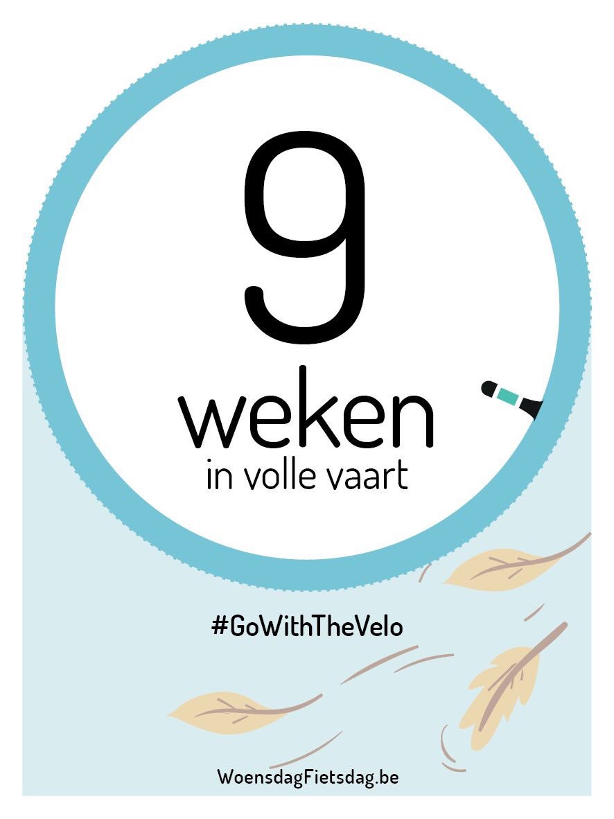 Woensdag=Fietsdag! #gowiththevelo #woensdagfietsdag RT = ik zit op de pedalen vandaag!