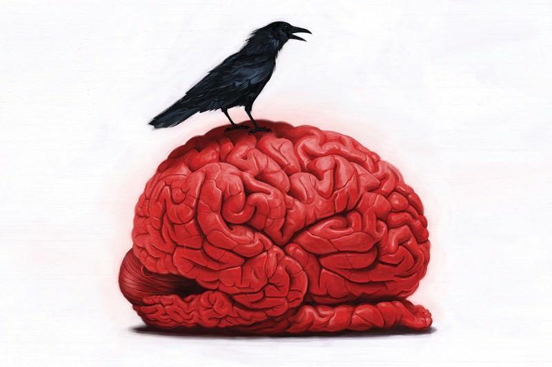 newscientist's tweet photo. An inflamed brain may be a hidden cause of depression https://t.co/XASmpjUFXE https://t.co/YAAJmnKITd