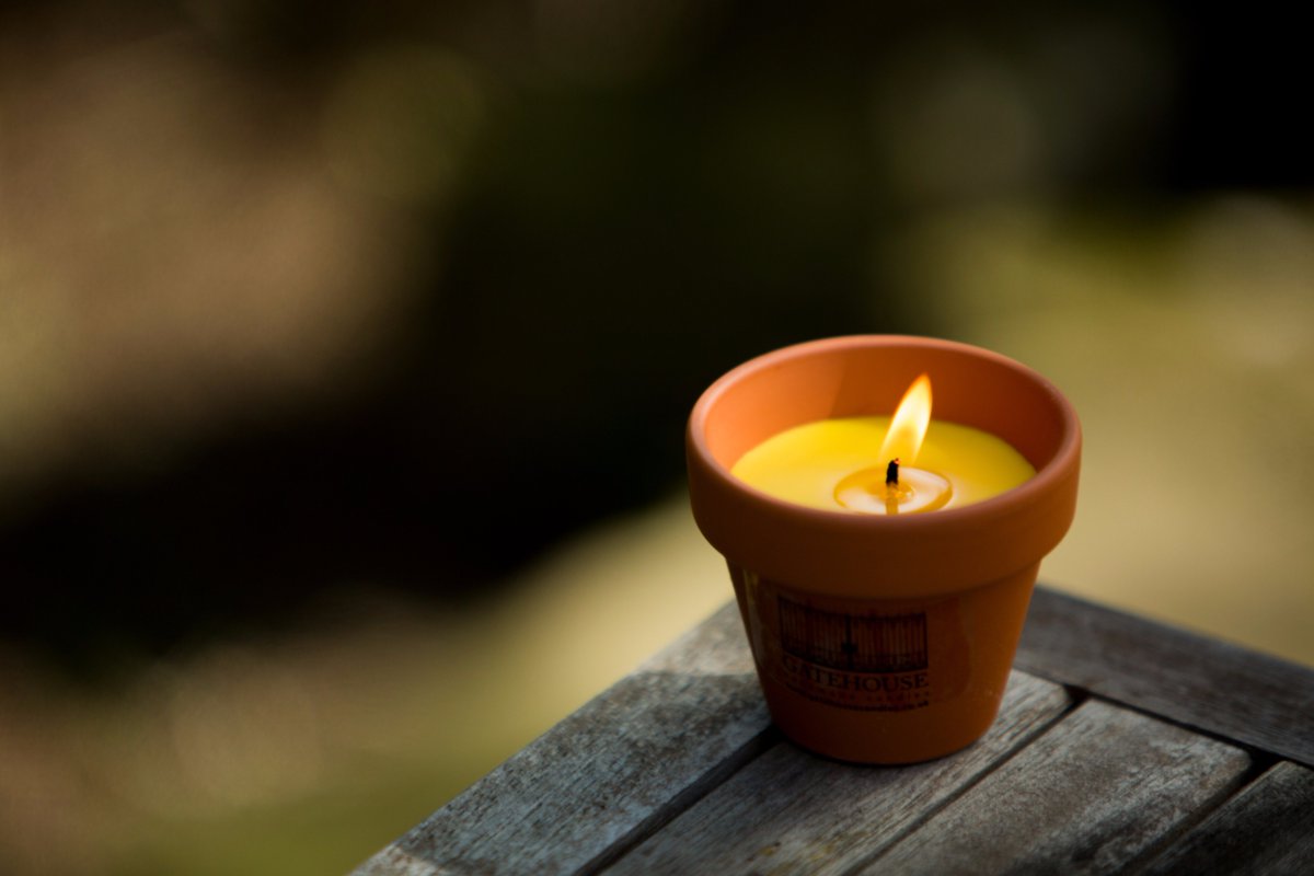 GatehouseC's tweet photo. Citronella Candles in a flowerpot are perfect for the hot summer evenings. Buy online at https://t.co/nhR86BD1vH https://t.co/g0HG9vBDfc