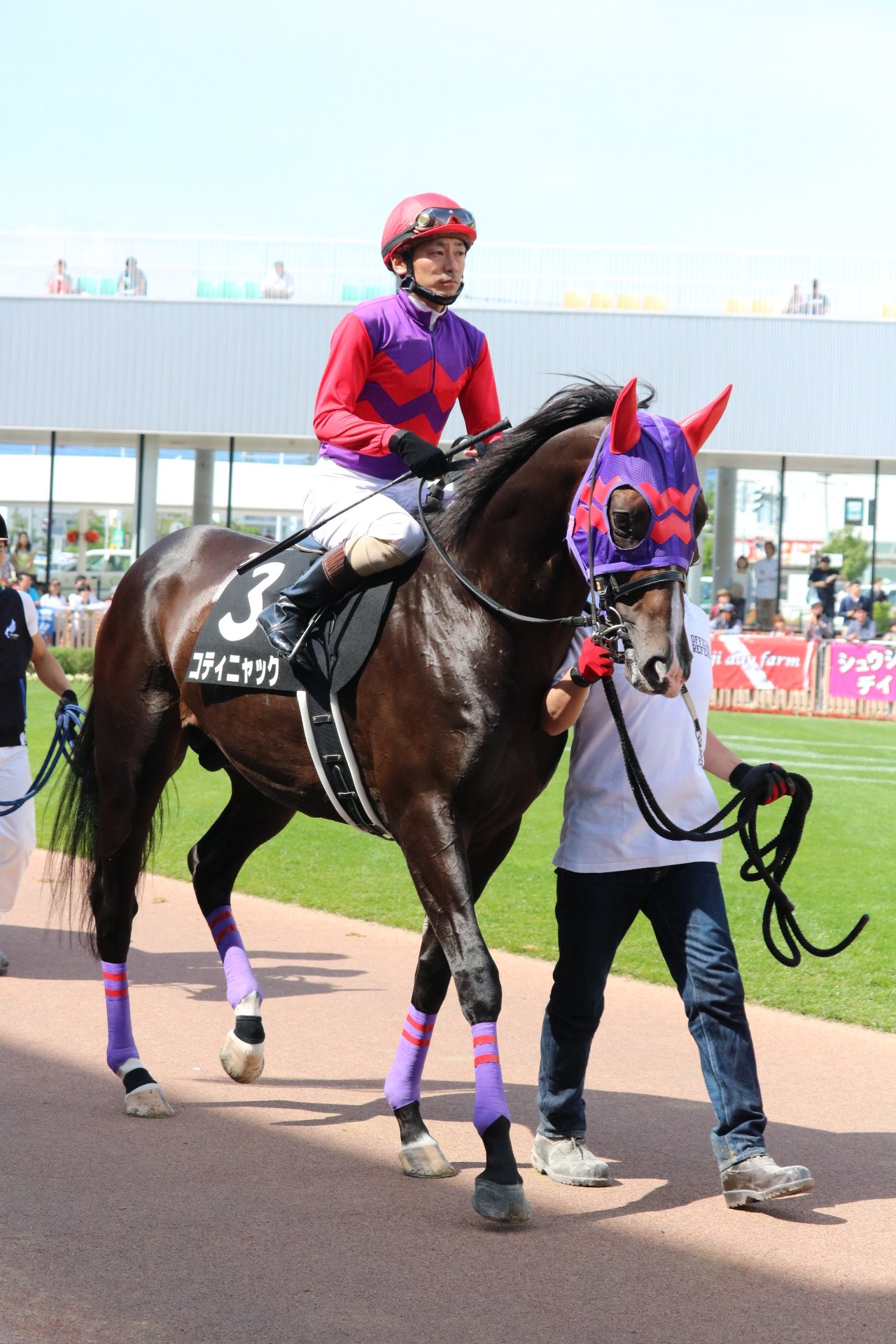 コティニャック Twitter Search Twitter