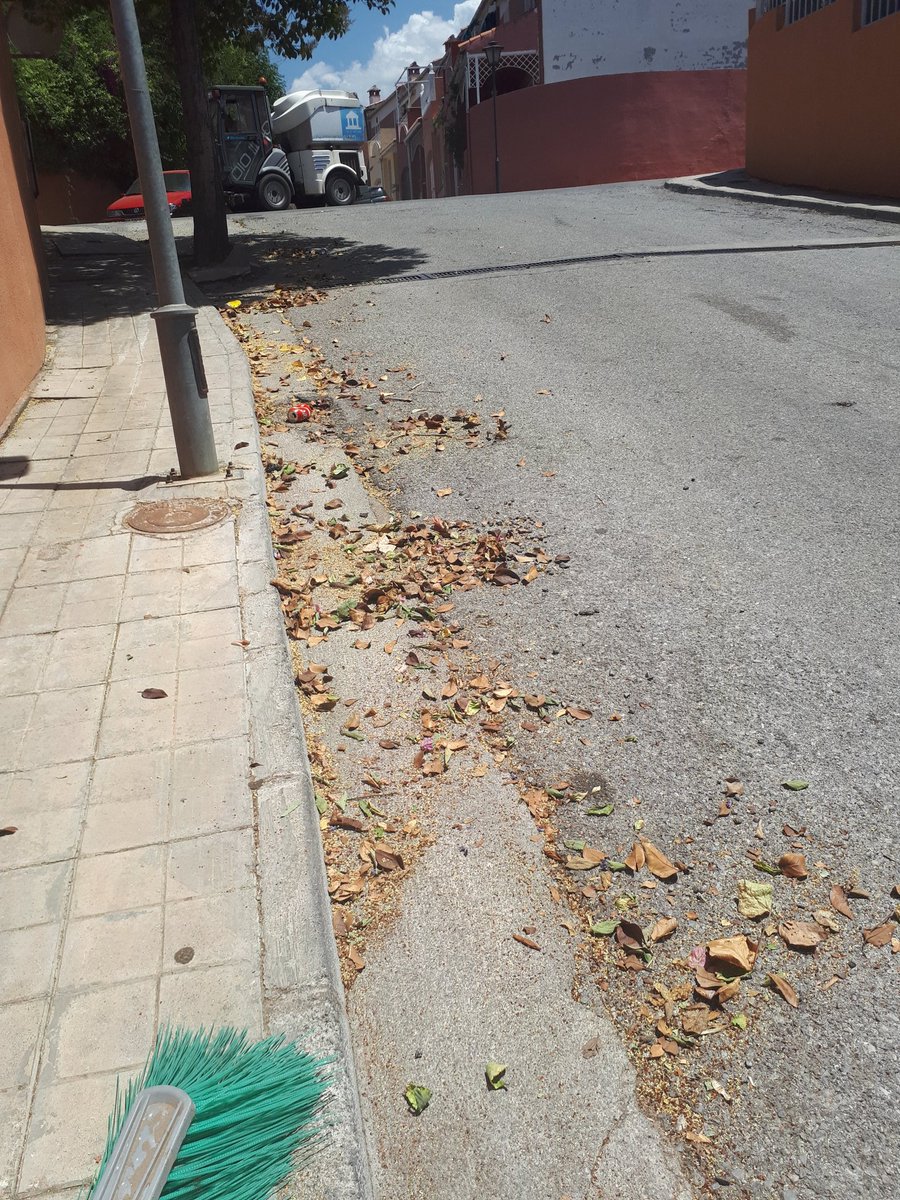 Barredora Jun tweet media