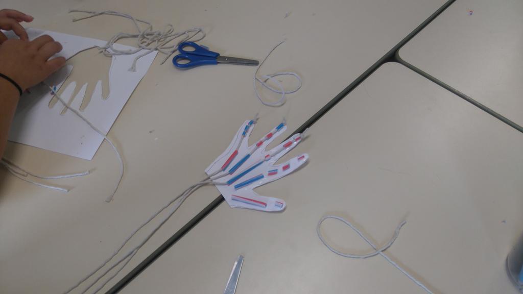 ParisClass's tweet photo. Learning lots about muscles and how they work! 💪 #STEMweek #CREST30 https://t.co/T2kII6HBfZ