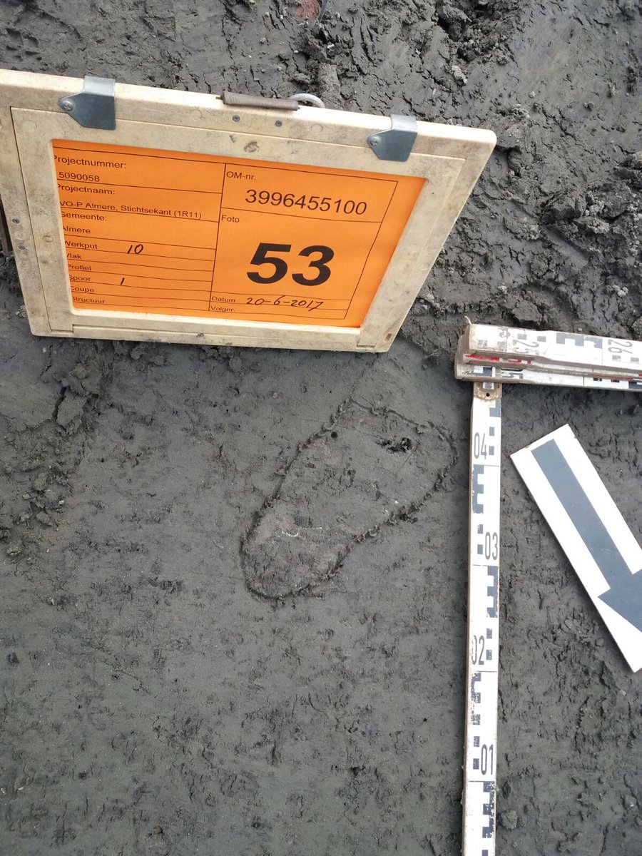 Erfgoed_Almere's tweet image. Tijdens de opgraving bij Almere Stichtsekant is vandaag een voetafdruk gevonden van ca. 4400 jaar geleden!