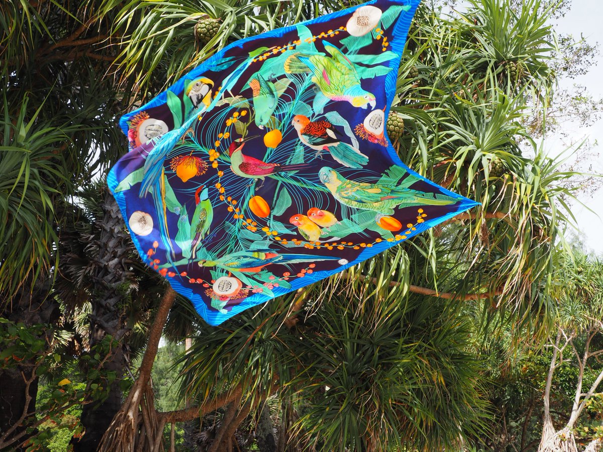 ForgetMeNotCoco's tweet image. back online - we have extra tropical scarves here on forget-me-not.paris/catalog #forgetmenotcoco #forgetmenotmaxiscarf #cocobrun #eshop