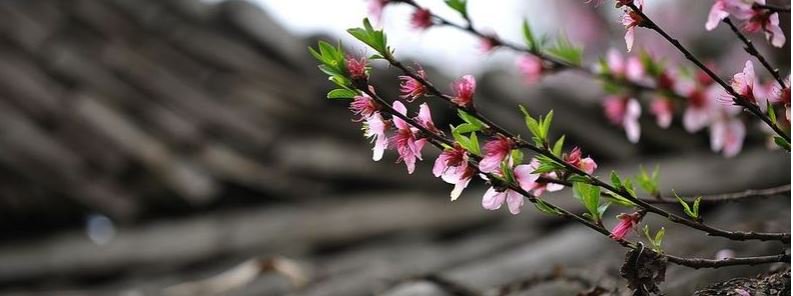 Roofing Supplies SW tweet media