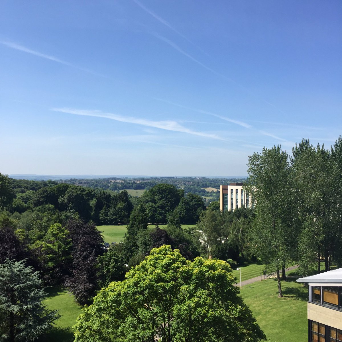 Study at Bath tweet media