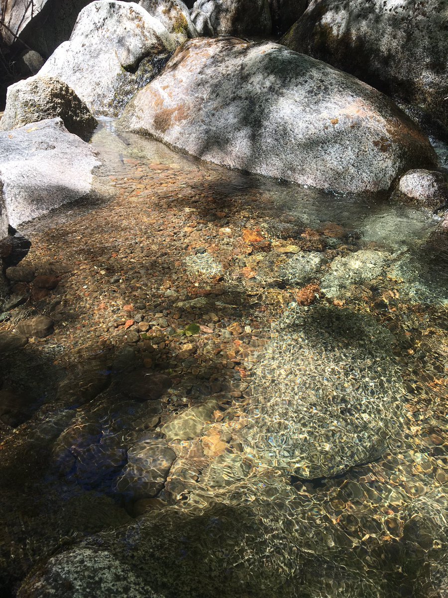 Photo_Genius4's tweet photo. Still clear water #photo #photooftheday #photograph #photogenic #photogenius #PhotographyArt #Photographing https://t.co/tu1kK5uiHl