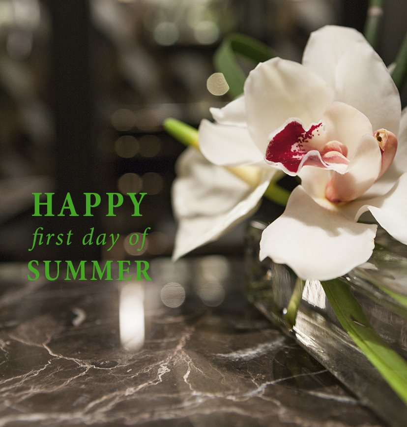 Oasis_Italy's tweet photo. Oasis wishes everyone an happy summer beginning!
https://t.co/2B39RDrs6b
#luxurysummer #summer #oasis #summerbeginning https://t.co/dpT5s1bdt3