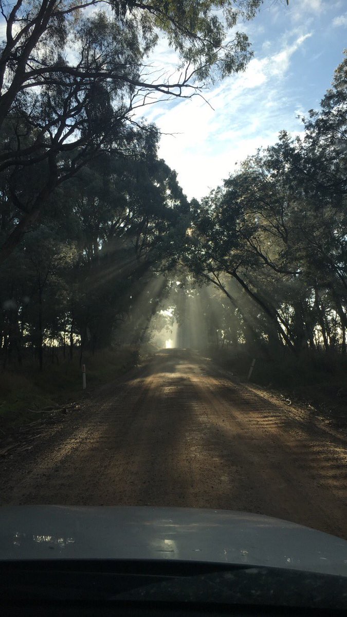MelBronca_'s tweet photo. Mornings like this 🙌 https://t.co/seMJG7KfjH