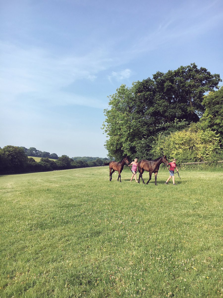 ConorCNorris's tweet photo. It's going to be a hot one in Marlborough #granham https://t.co/mOKQjXDVtJ