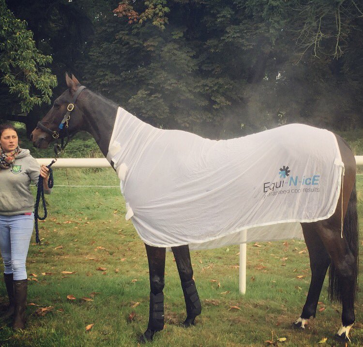 We are very excited to announce that we have been asked to provide our cooler rugs for the carriage horses at Royal Ascot today! #keepcool