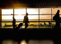 Scientist Live tweet media