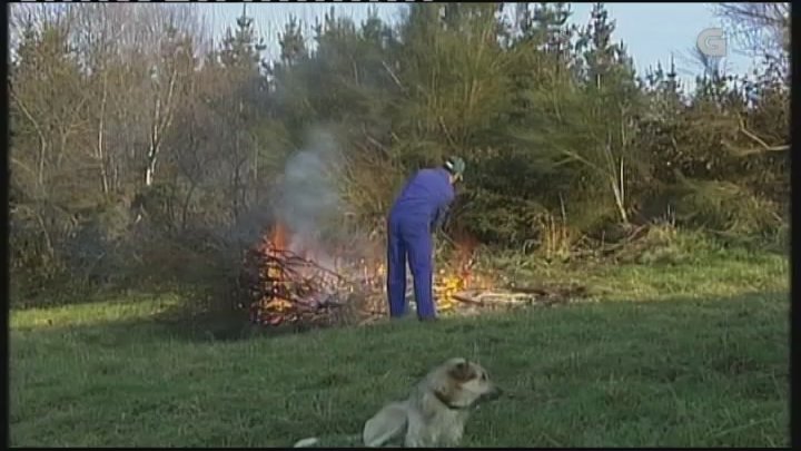 TVGalicia's tweet photo. 🔥 AVISO 🔥 Prohibidas todas as queimas en Galicia. Incluso as que estaban autorizadas https://t.co/n0krTCvxML https://t.co/h27uHOhT8q