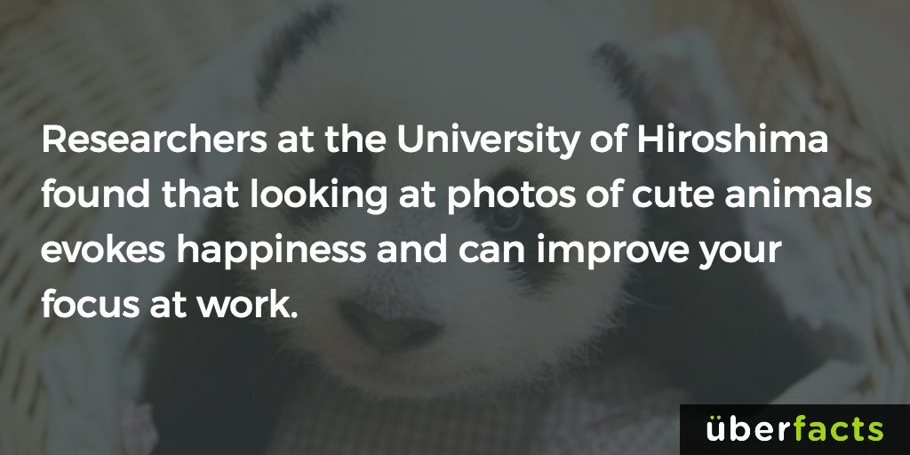 UberFacts's tweet image. 😍😍😍