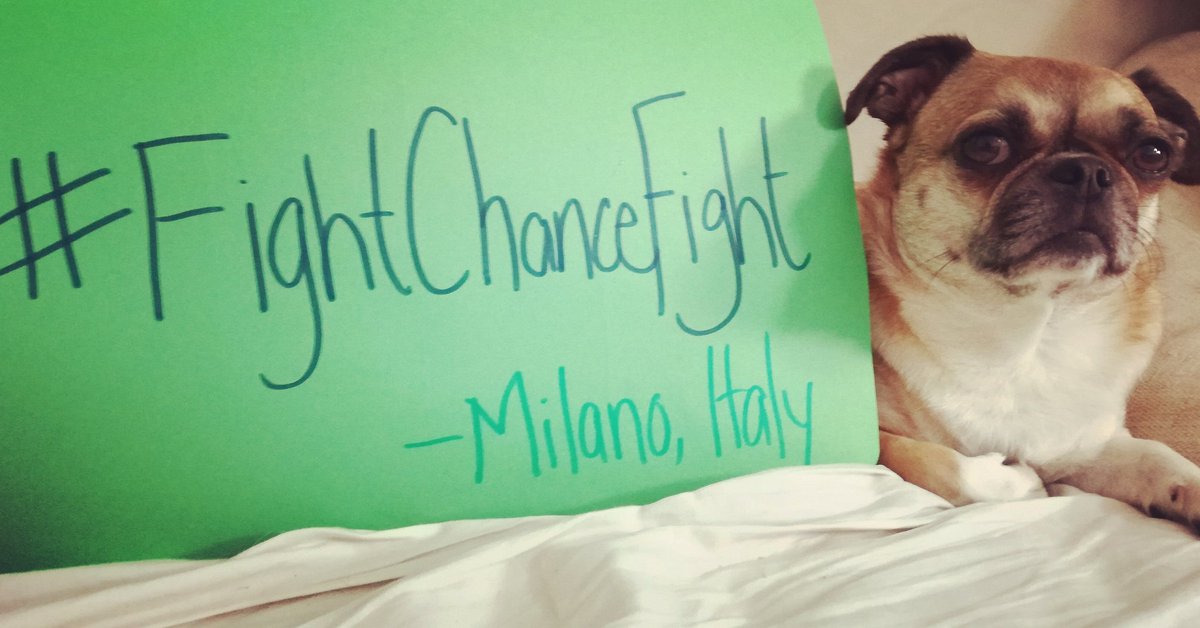 brandiesilva's tweet photo. The personal is always political. #fightchancefight #adoptdontshop #dogsarenottoys #BeKind Be the difference you want to see in the world 💚 https://t.co/3lHvwQJaaQ