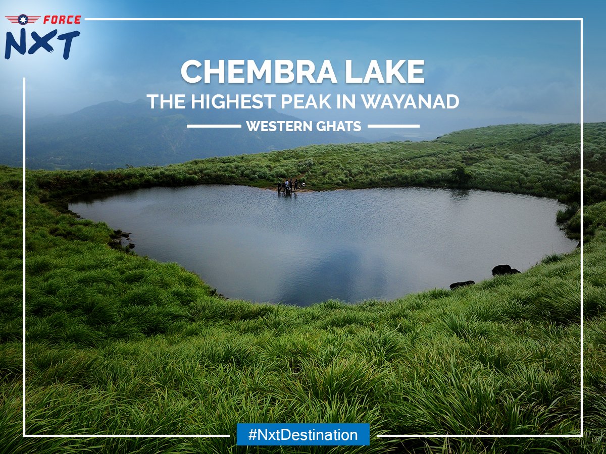 force_nxt's tweet photo. #ForceNXT #GoForNXT #NxtDestination #Travel #Chembra #WesternGhats https://t.co/XHNpaVjxja