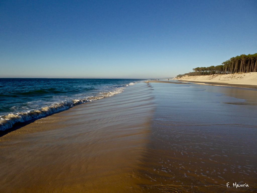 CoteOuestPhoto's tweet photo. Très belle journée �� tous ! 😊🌞🌞🏖️🏄‍♀️
#coteouestphoto #bassindarcachon #capferret #dunedupyla #bordeaux #aquitaine #gironde #ilfaitchaud https://t.co/W2LRDwaw8c