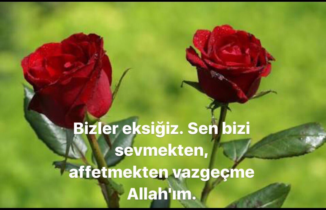 ZeynepBaskan's tweet photo. Yüce Mevlâ'mdan cümlemize iman, ihlâs, vecd ve aşkı diliyorum. Kadir Gecemiz hepimize mübarek olsun... https://t.co/3sOS1PyHkD