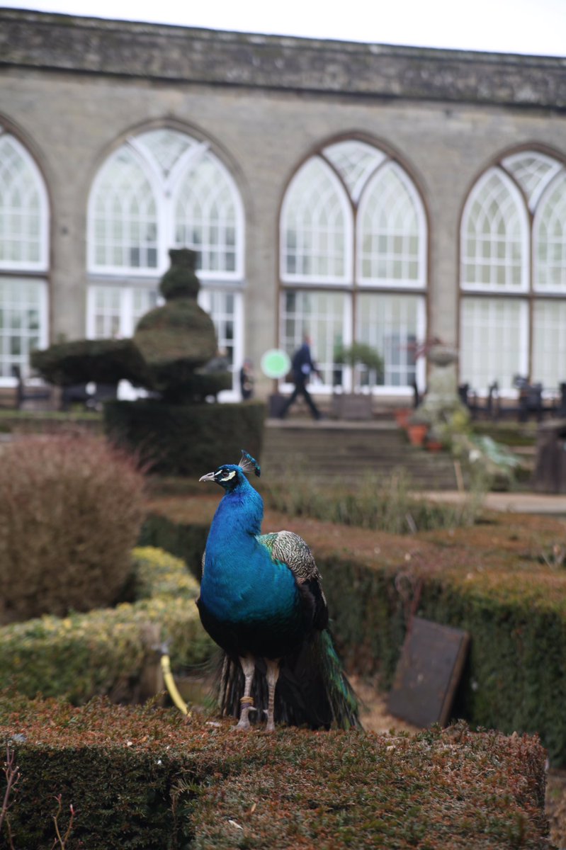 Excited to be working with <a href="/WarwickCastle/">Warwick Castle</a> on a new project in an historic setting.