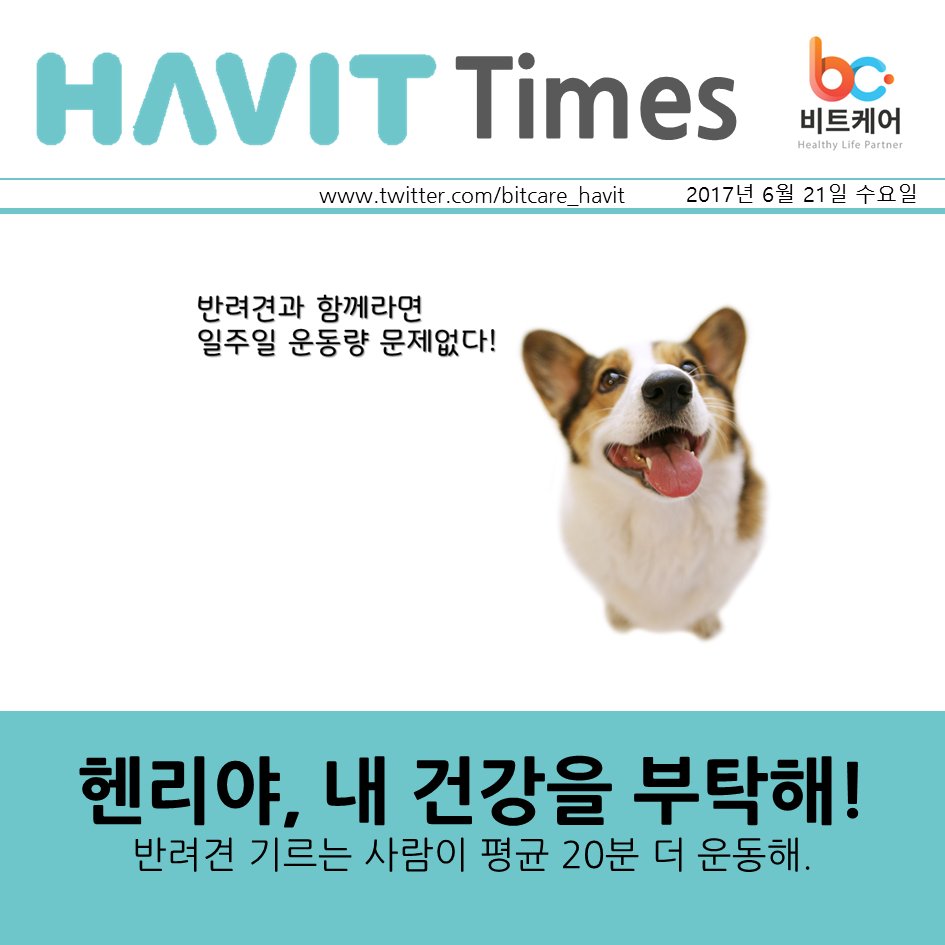 Bitcare_havit tweet picture