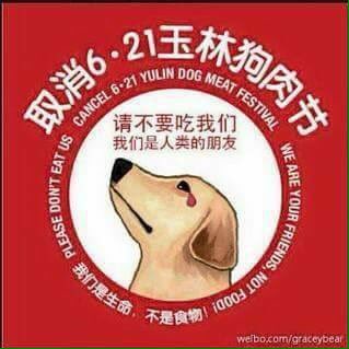 An die chinesische Regierung ... wann hört dieses schreckliche Festival dann endlich auf ?? 😡 wie kann man nur sowas tun !!!