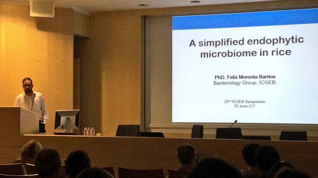 morontafelix's tweet photo. And finally my turn! #microbiome #plantmicrobiome #microbes4crops #ICGEBSymposium https://t.co/zOm1ctaTV2