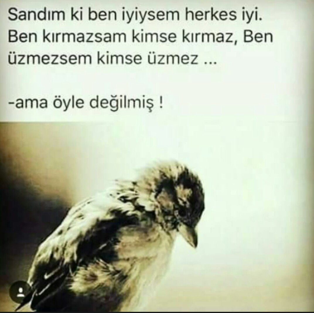 aysetrbsr's tweet photo. #SANDIM Kİ..! https://t.co/v3B9bZB3Zo
