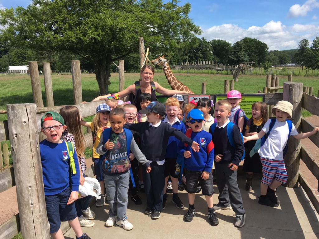 mcdonnell_mrs's tweet photo. Love love love the giraffes @YokerPrimary https://t.co/zIj6tykJtC
