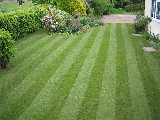 kilogrammedia's tweet photo. @DJTurfcare to launch @The_RHS range at @Glee_Birmingham https://t.co/OQTJLgOpHL
#MoBacter #Viano https://t.co/lT9RBouKJ9