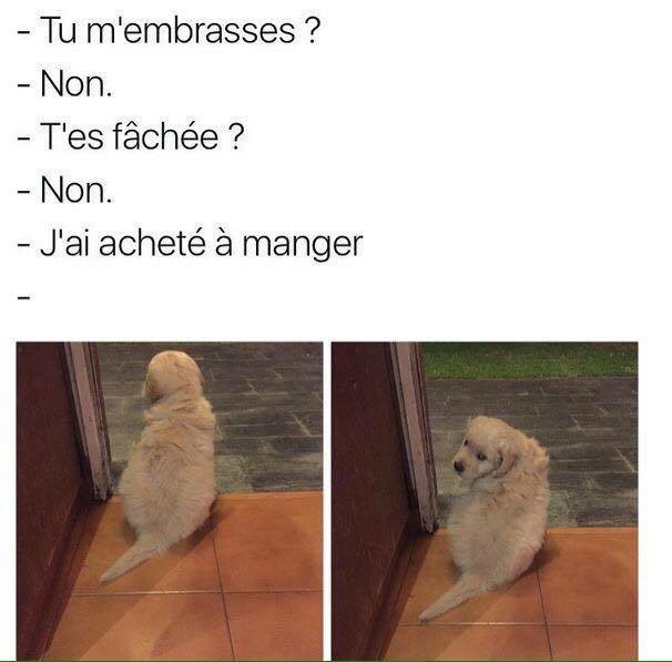 studio_meuble's tweet photo. Hahaha Bon appétit les femmes !
#CestPasCool
#MangerNestPasPardonné https://t.co/UxgsG4AYiy