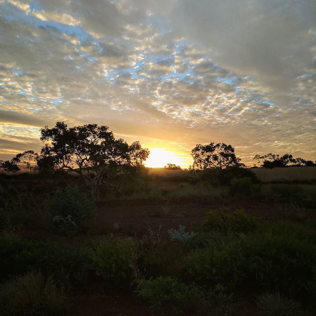 felixfsantistev's tweet photo. RT https://t.co/ZKDftATIUj #nobullshitwellness #fifowellness #pilbara #straya #sunrise_and_sunsets #ilytb #sungaz… https://t.co/dmGqa4osR0
