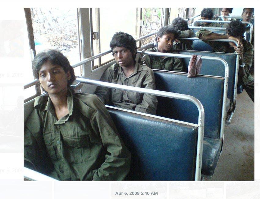 Frances Harrison tweet media