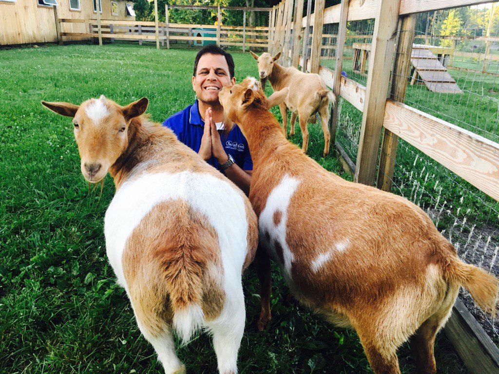 LisaSpitzNews's tweet image. Greatest photo ever!! @BrandonRothCNY is doing yoga with goats this am. You can too! #NationalYogaDay #Goats