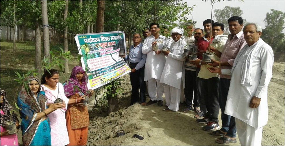 Minor Irrigation tweet media