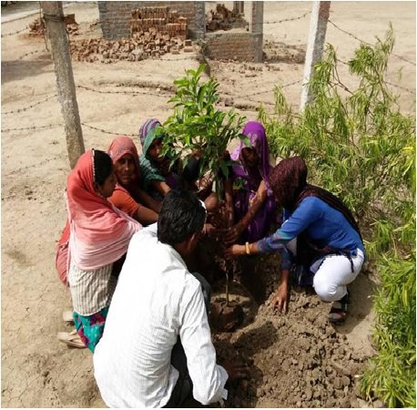 Minor Irrigation tweet media