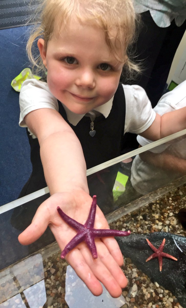OnoFnlomce_net's tweet photo. Awe and wonder with our rock pool visitors @Fs1Linden Thank you @AqualeaseUK #excitinglearning #lindenloveslearning https://t.co/IgXpfmtZr5