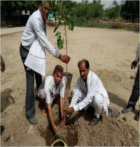 Minor Irrigation tweet media