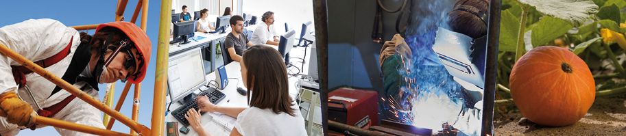 Iñaki Díaz de Arcaya (arcaya) Twitter