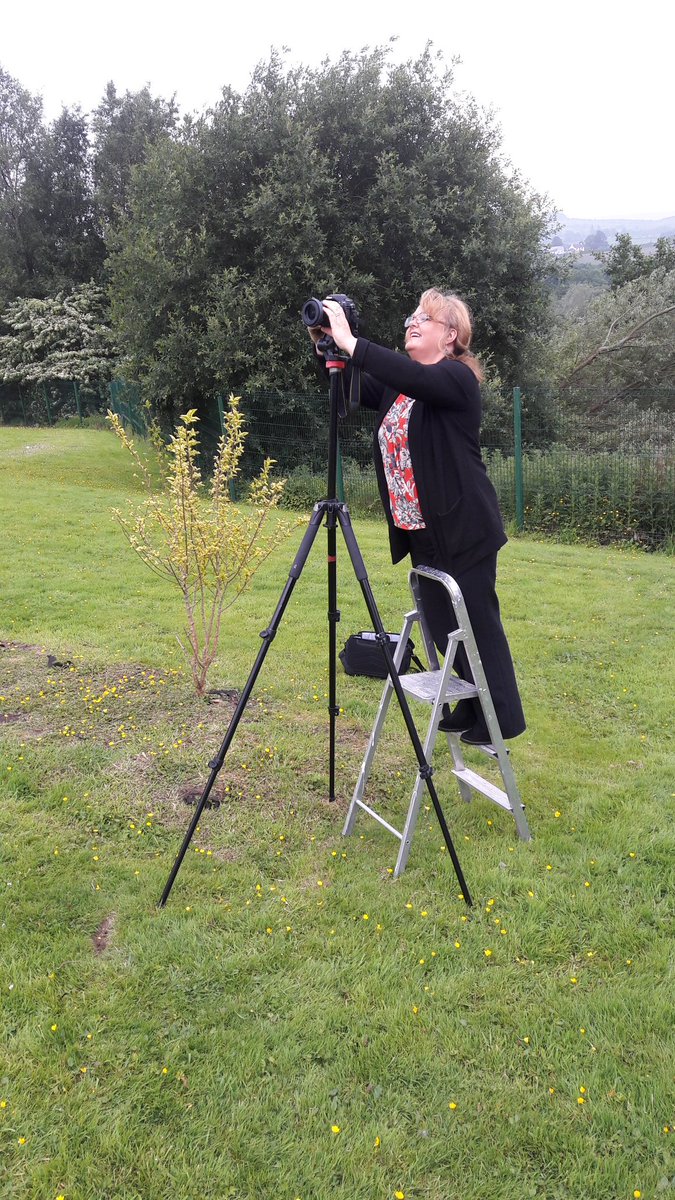 MichaelTempest8's tweet photo. Gorgeous spot for a school photo, tho had to improvise on the hill! @HTempestPhoto #gaelcholaistedhoire @MmgTempest #lookinggoodwithtempest https://t.co/XmnbgO1ahs