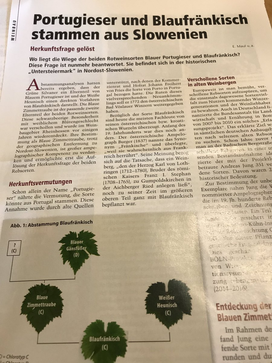 winebor's tweet image. Breaking news: Portugieser and Blaufränkisch originate from Slovenia #wine #Slovenia #Austria #Hungary