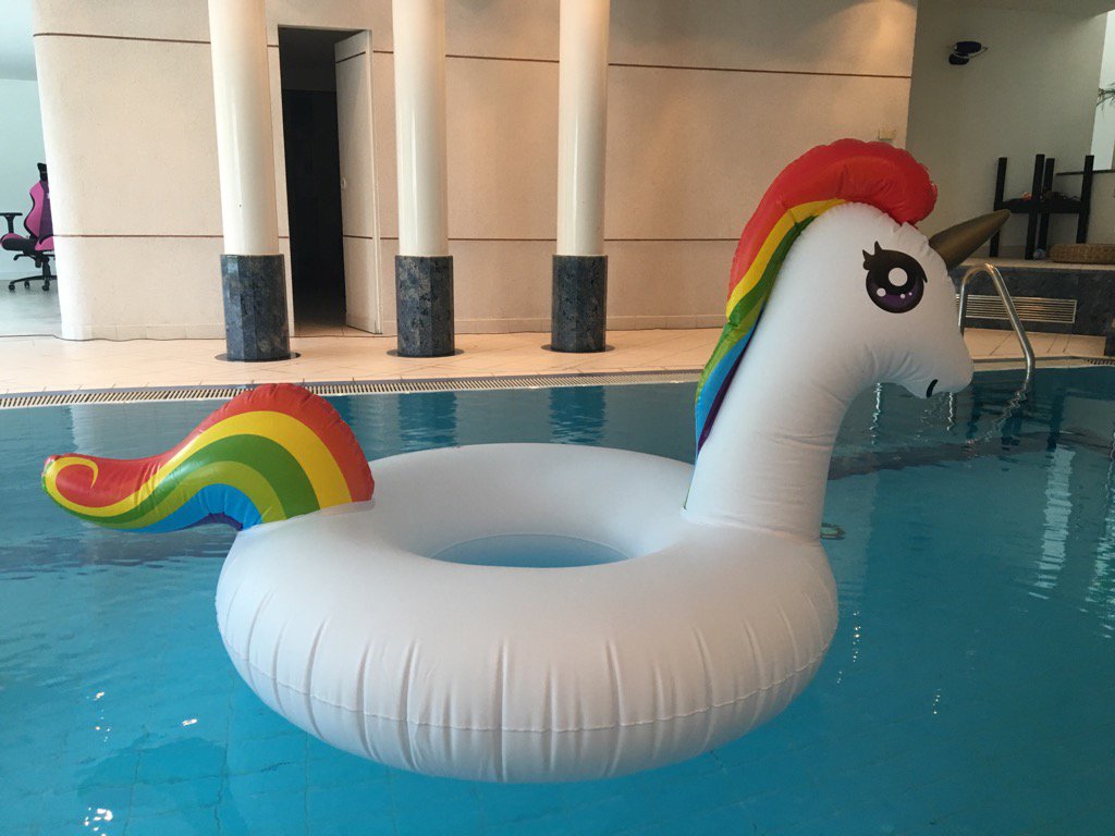 Lifecoach1981's tweet photo. SummerMansion qualifier preparation: pool animals ☑️ https://t.co/pvtbvcexMe