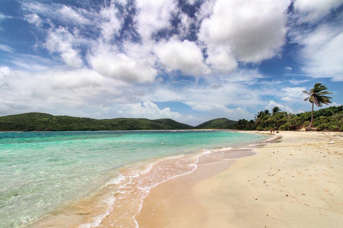 EnCulebra's tweet photo. A place to meditate with your eyes opened. #Culebra #PuertoRico #flamenco #beach #paradise #caribbean https://t.co/x3lLuuSj8h https://t.co/Xa8qcJD4yq