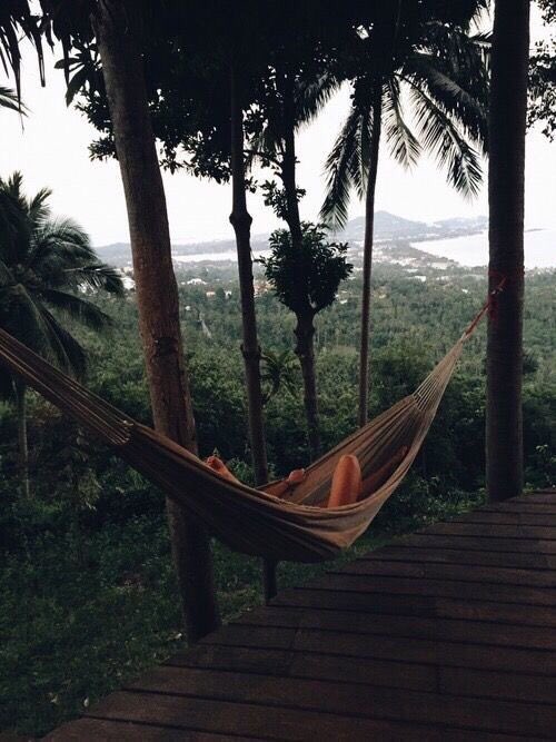 ButDansLaVie's tweet image. Le genre d'endroit où je voudrais être en ce moment 🌴🌊