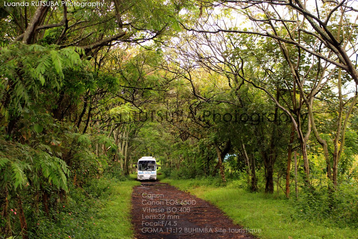 AmonAlonda's tweet photo. Nature of #GomaCity @alondaamanialoj https://t.co/NmlUMpxTzK