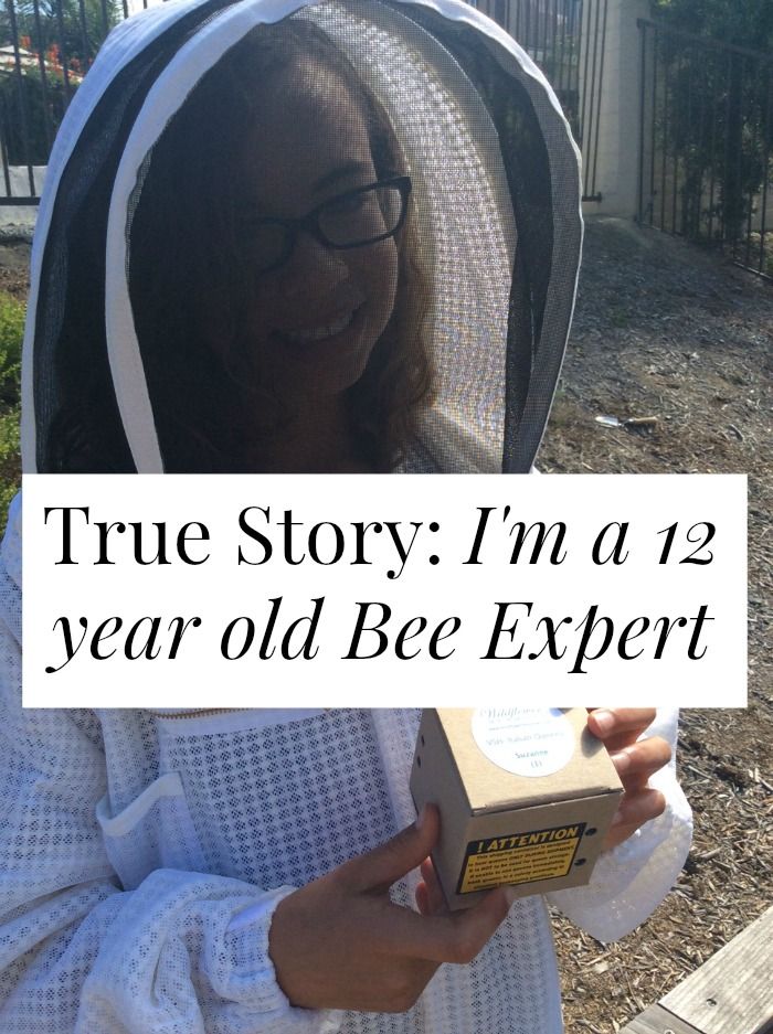 ecosaveearth's tweet photo. #TrueStory: Iβm a 12 year old #BeeExpert https://t.co/nGrGGKjePu #SaveTheBees https://t.co/LBmYZ2q3Tj