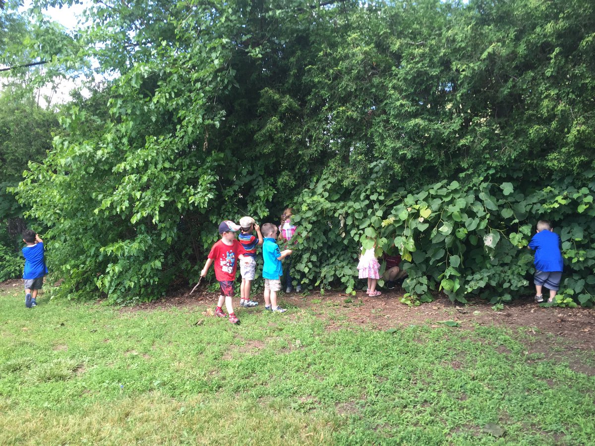 centralschoolk1's tweet photo. Hunting for caterpillar eggs! https://t.co/ssYIeGg8PM